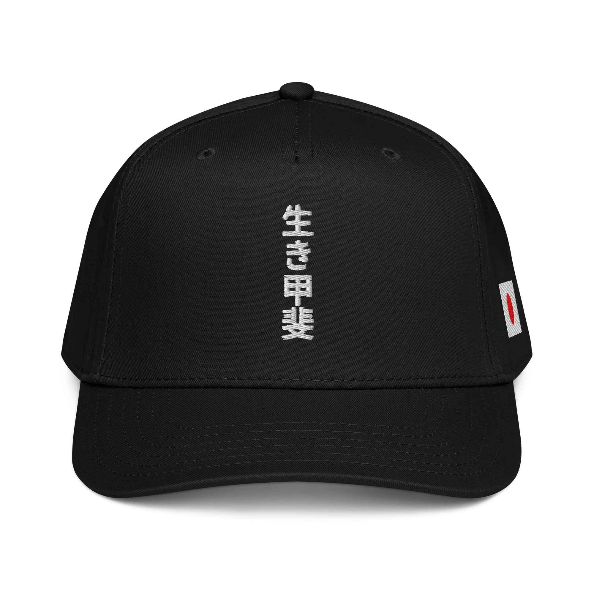 Ikigai Baseball Cap