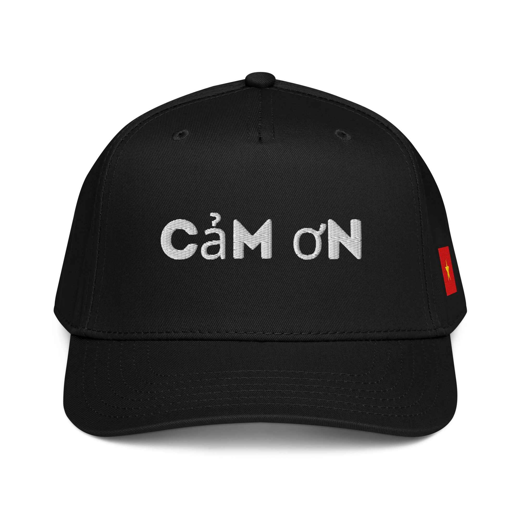 5 panel cap