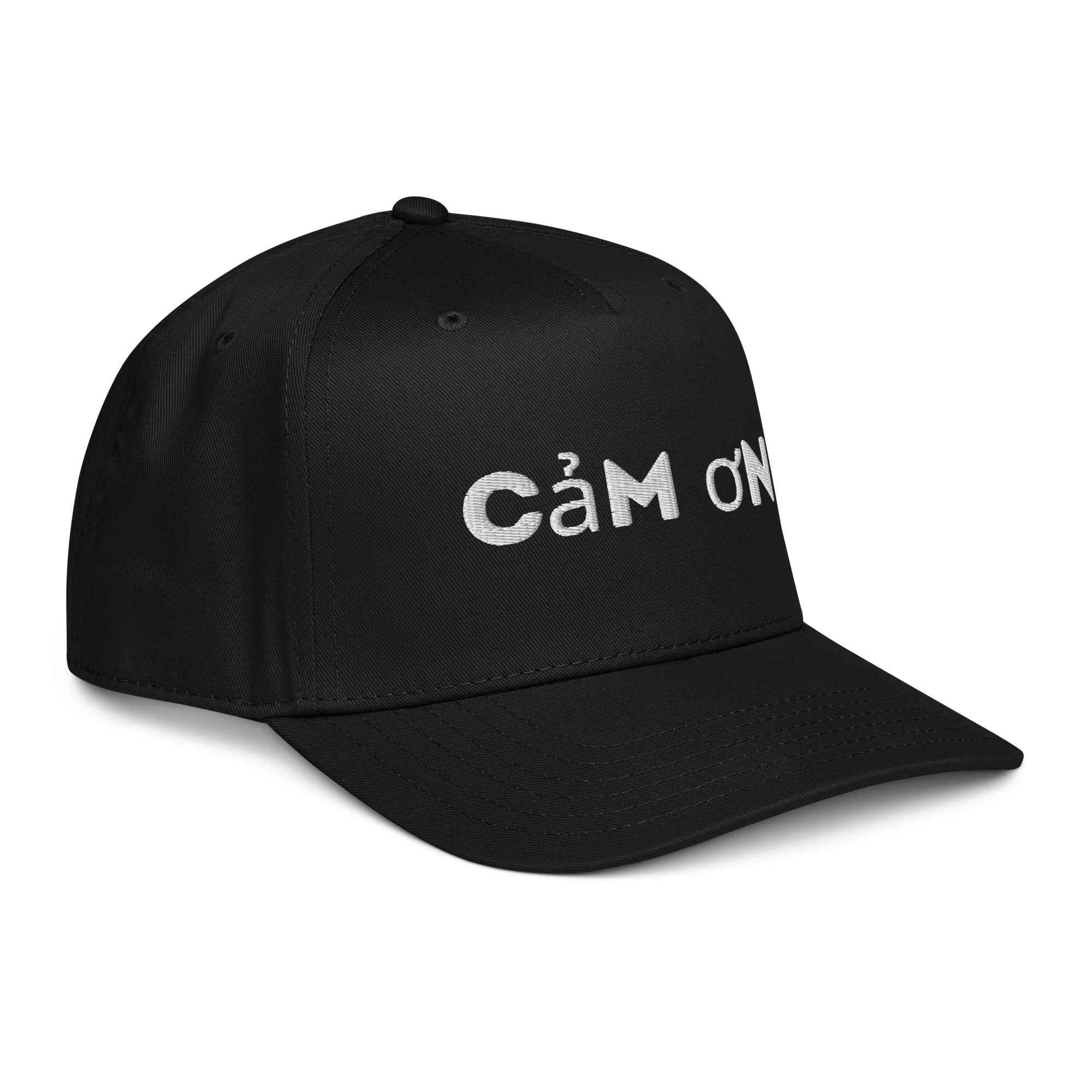5 panel cap