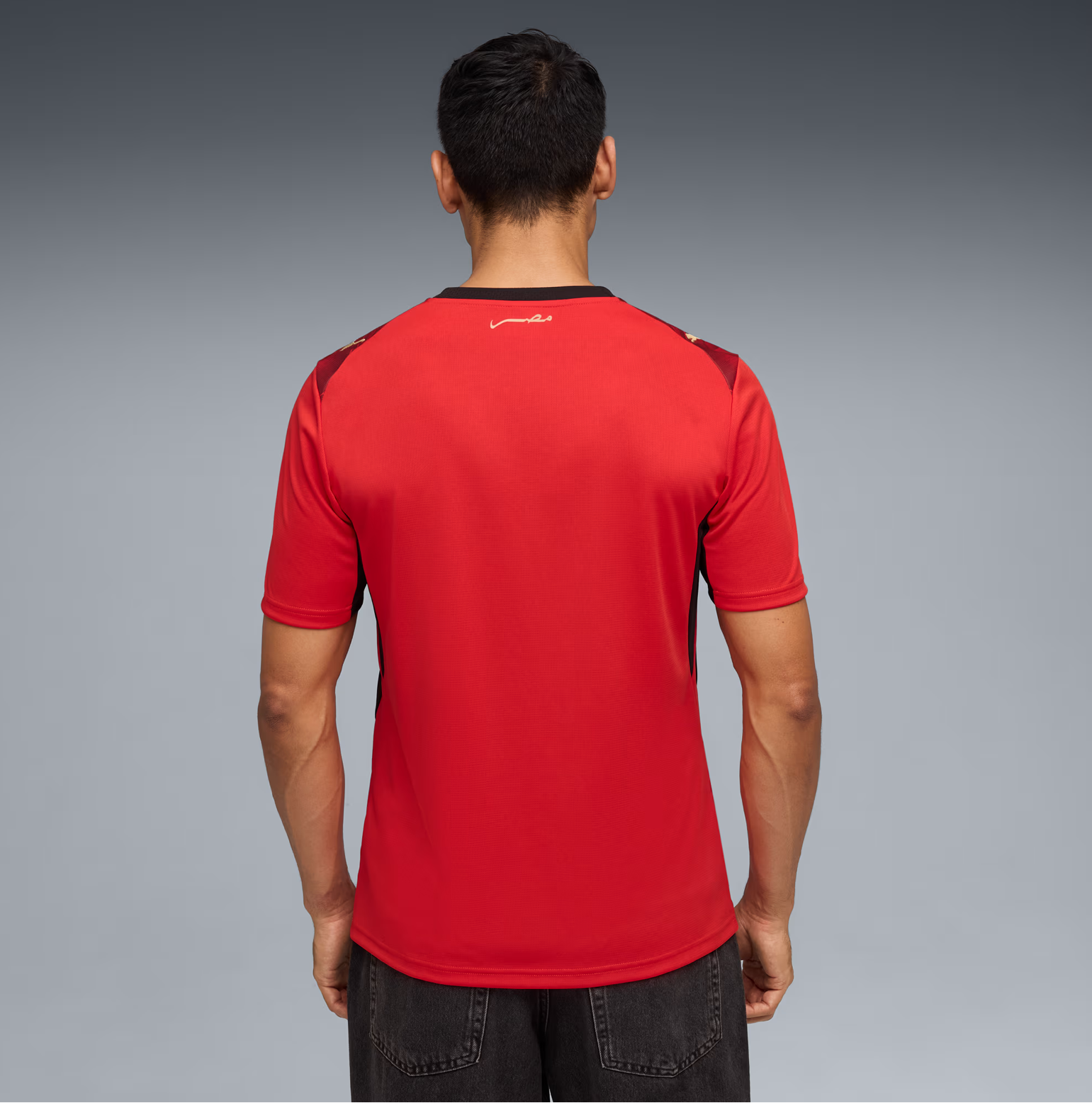 EGYPT WORLD CUP 26 HOME JERSEY - OFFSIDE CLUB
